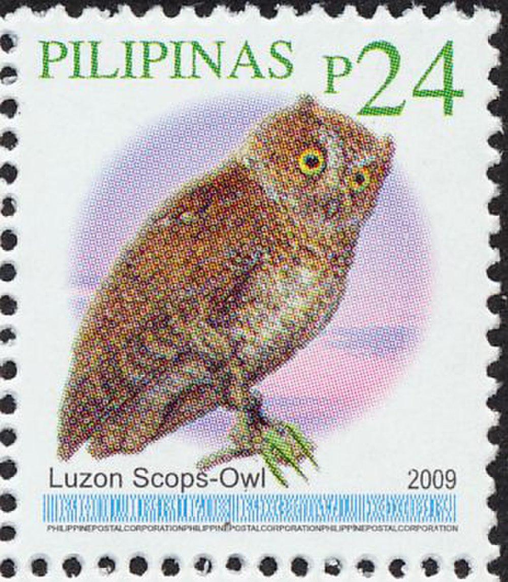 吕宋角鸮 / Luzon Scops Owl / Otus longicornis